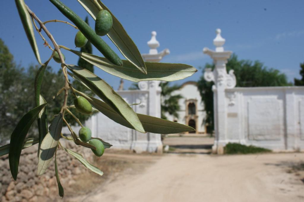 Masseria Maccarone Fasano Dış mekan fotoğraf