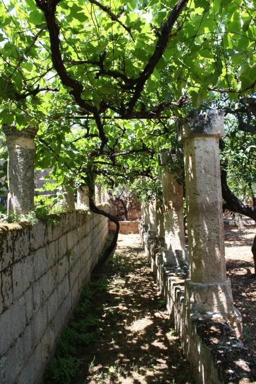 Masseria Maccarone Fasano Dış mekan fotoğraf