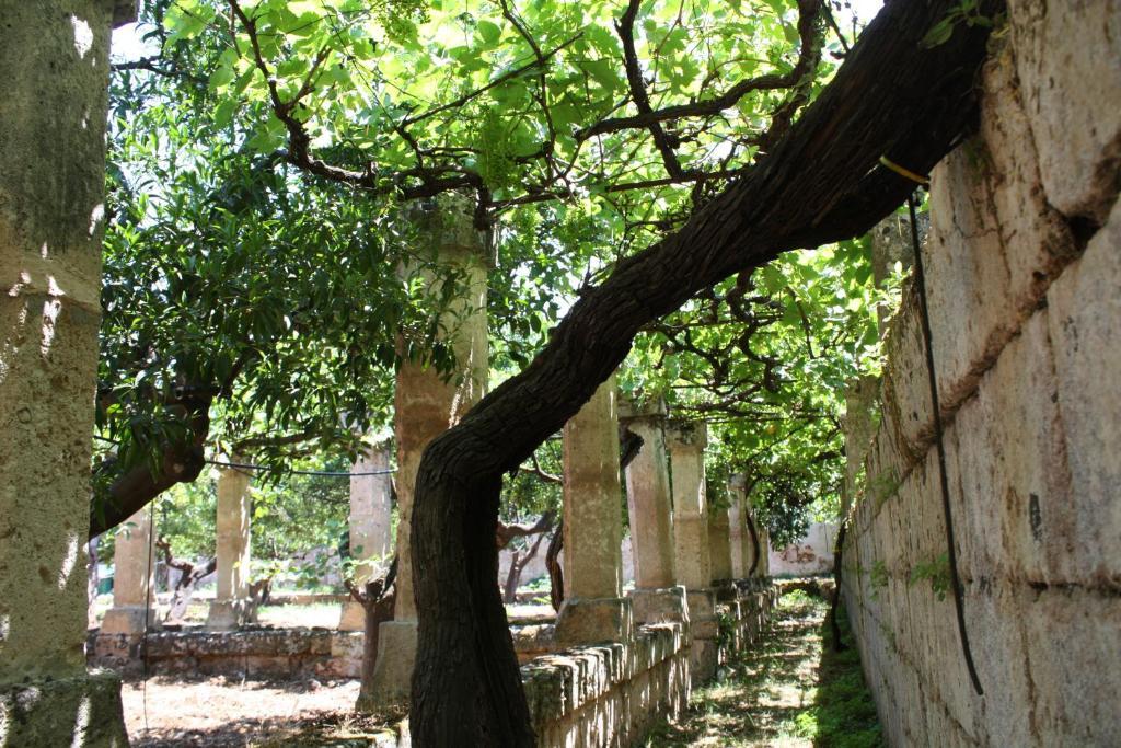 Masseria Maccarone Fasano Dış mekan fotoğraf