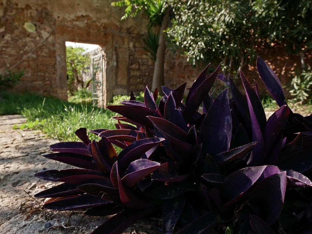 Masseria Maccarone Fasano Dış mekan fotoğraf