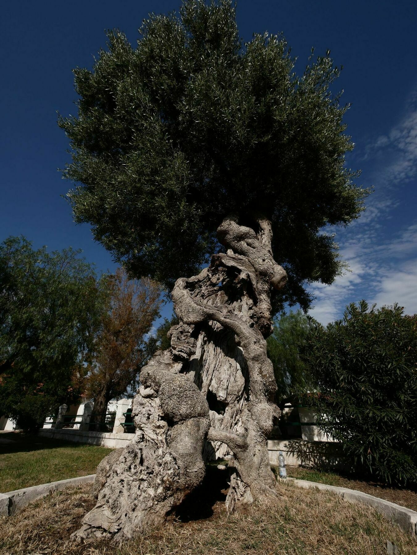 Masseria Maccarone Fasano Dış mekan fotoğraf
